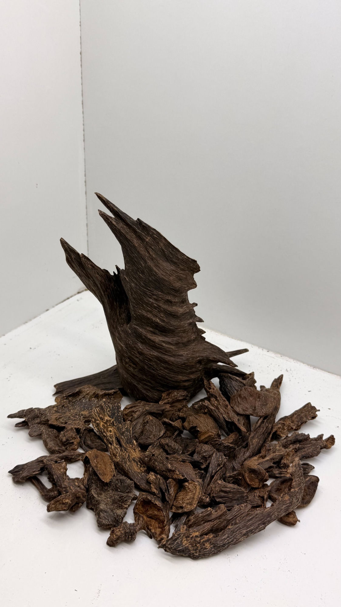 Royal Borneo agarwood selection