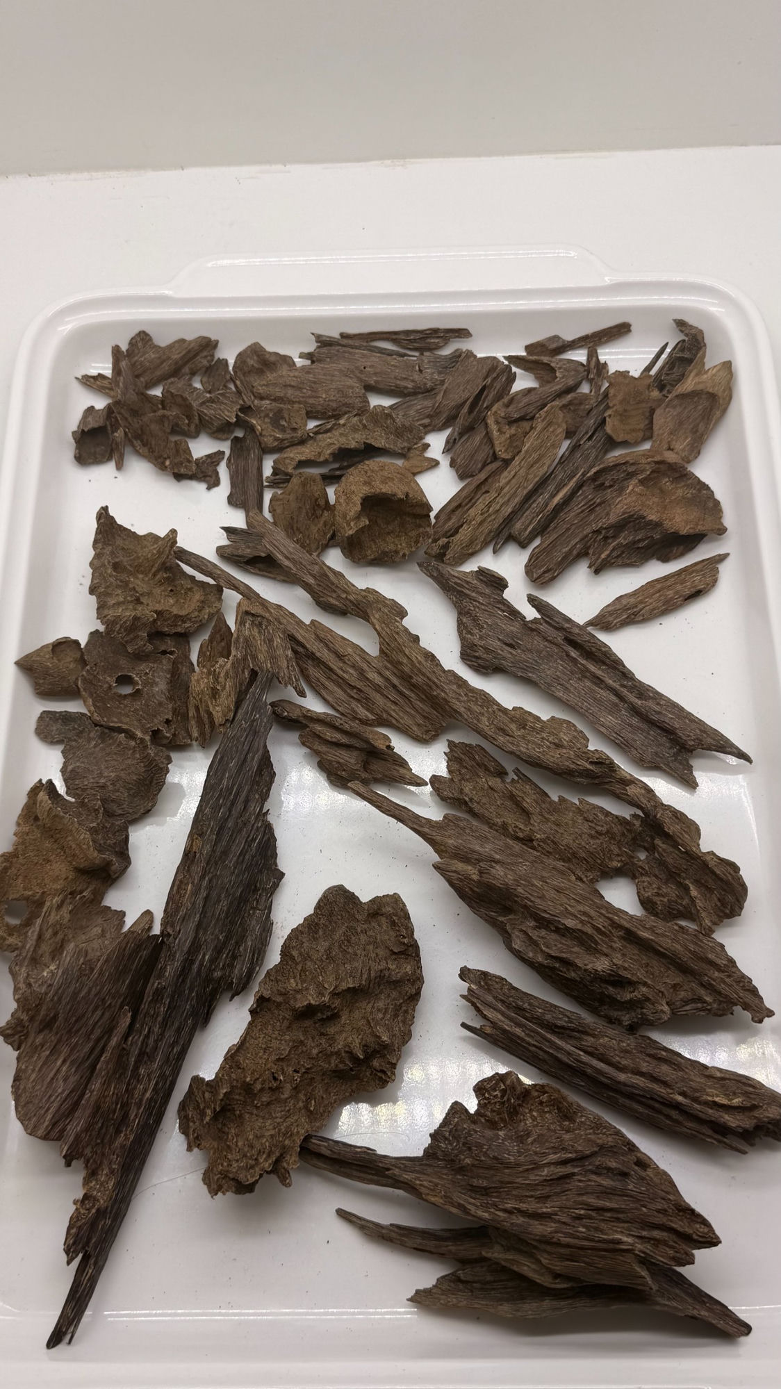 Premium Borneo agarwood sticks